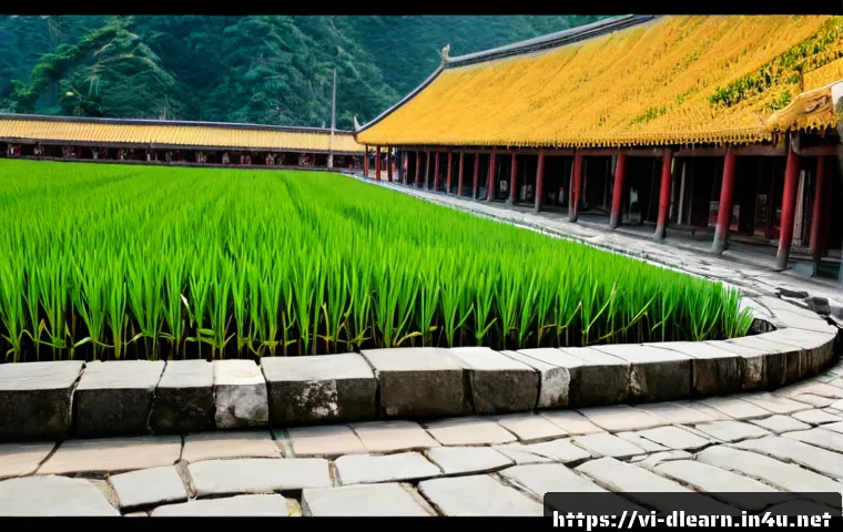 Cải thiện khả năng tiếp cận học tập số: tiêu chí chọn nền tảng và nội dung phù hợp 4 디지털 학습의 접근성 향상 관련 이미지 2